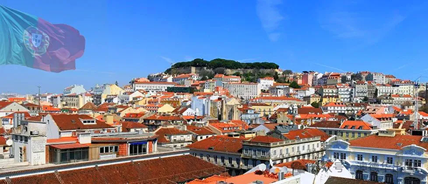 1765872546417029.png 2.webp.png