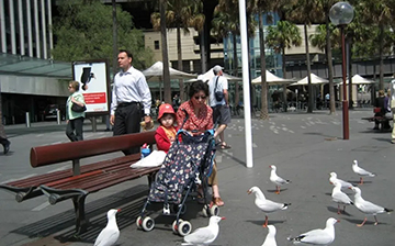 「澳洲移民」绿卡“真面目”不是天堂，但能给你满满的“兜底”安全感！